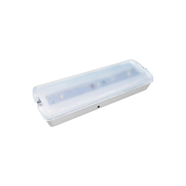 LED EMERGENCY LIGHT 2W SMD5730 3HRS100LM 6000K 230V - ACA