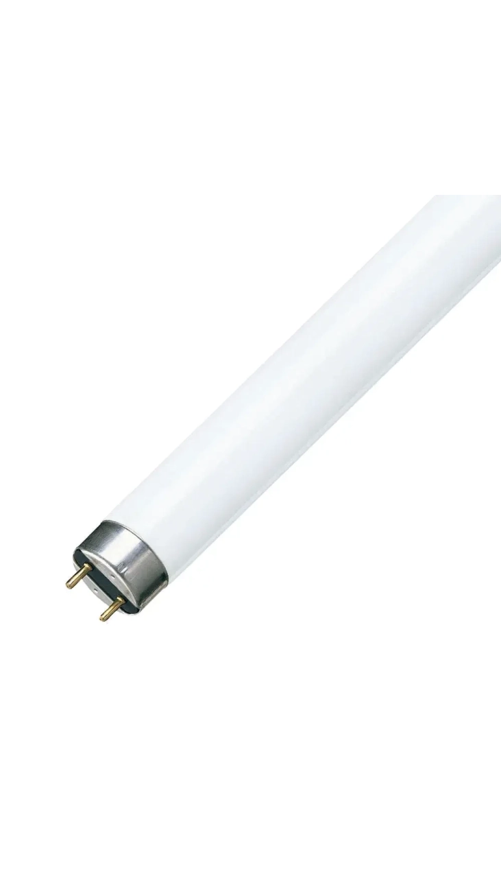 Fluo cevi TLD 36W/54 6500K L=1213.60mm G13 - PHILIPS