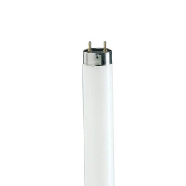 FLUO cevi TLD T8 58W/54-765 - PHILIPS